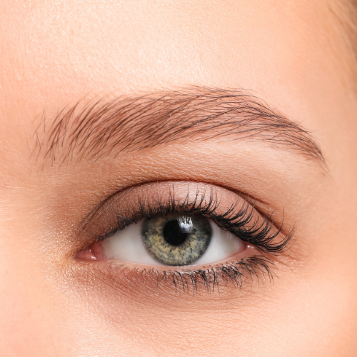 BROWS